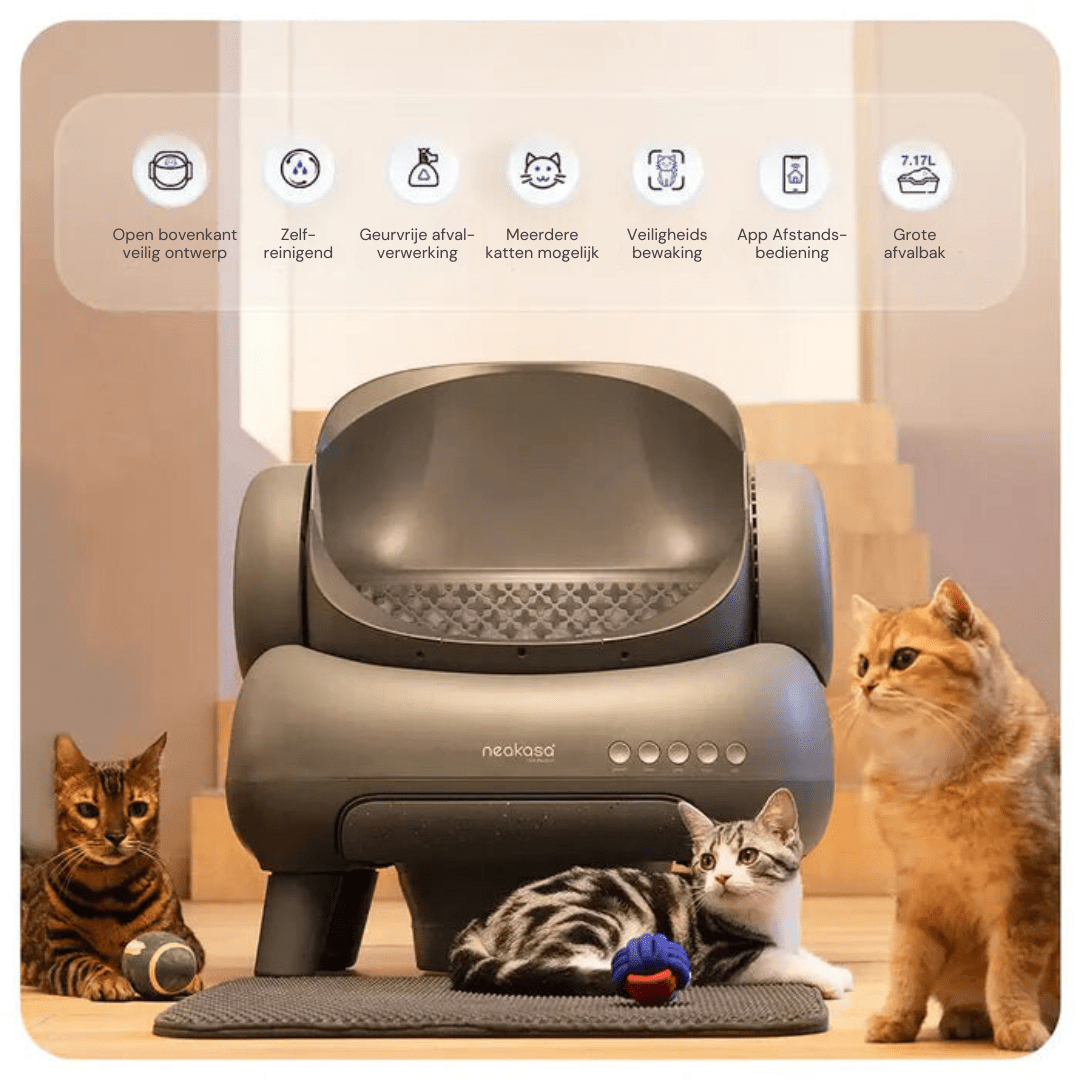 Zelfreinigende kattenbak - Neakasa M1 - In gebruik